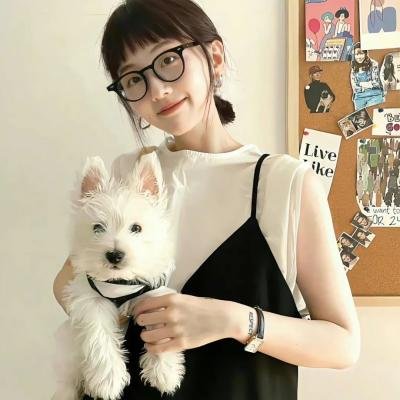 超级迪克